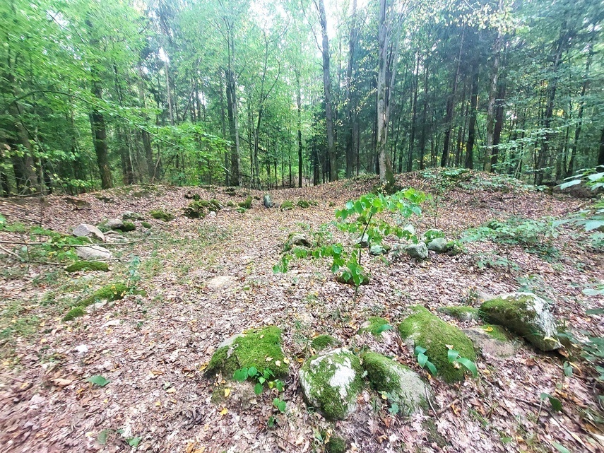 Elbląg, Leśne cmentarzysko w Piórkowie (powiat braniewski), Elbląg, Leśne cmentarzysko w Piórkowie (powiat braniewski),