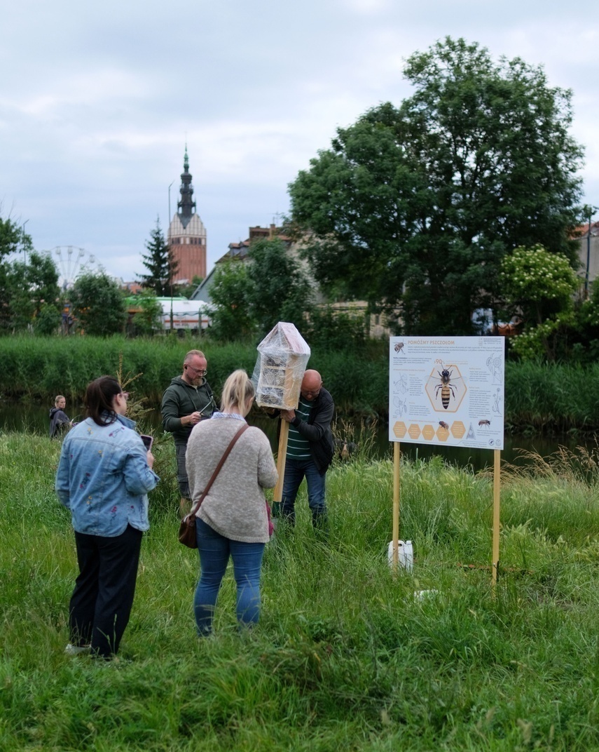 Elbląg, To fragment Zielonego Zakątka, objętego planem zagospodarowania przestrzennego Elbląg, To fragment Zielonego Zakątka, objętego planem zagospodarowania przestrzennego