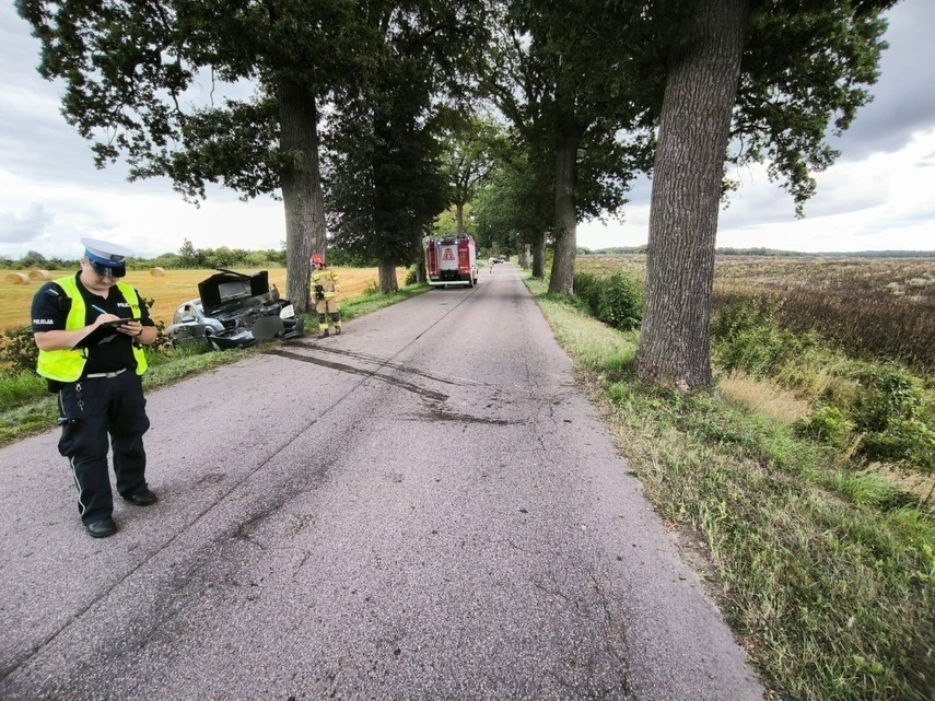 Elbląg, Uderzyła w drzewo pod Młynarami Elbląg, Uderzyła w drzewo pod Młynarami