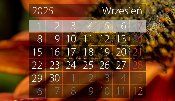 Elbląg, W tym tygodniu portEl poleca: naukowy piknik, finał Salonu Elbląskiego i Ogrody Polityki Elbląg, W tym tygodniu portEl poleca: naukowy piknik, finał Salonu Elbląskiego i Ogrody Polityki