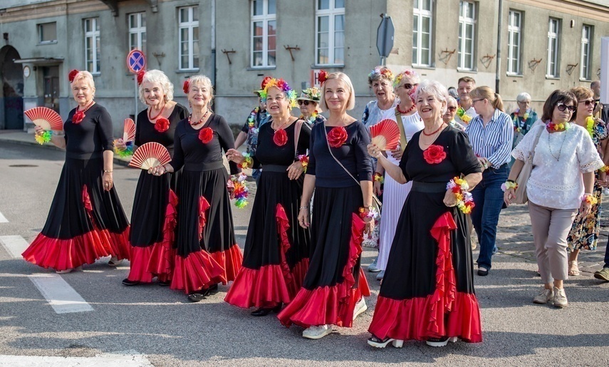 Elbląg, Miasto Seniorów