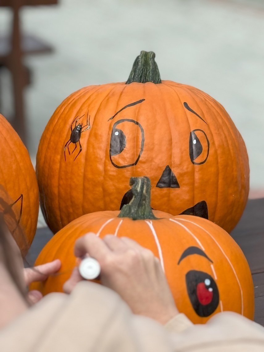 Dyniowa Farma startuje 20 września w Nowej Holandii