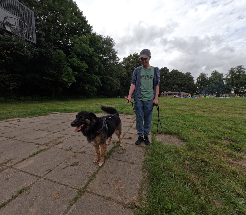 Elbląg, Październikowy Bieg na sześć łap