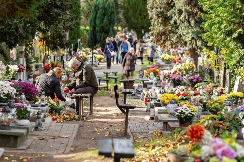 Elbląg, Przydział stanowisk handlowych na cmentarzu Elbląg, Przydział stanowisk handlowych na cmentarzu