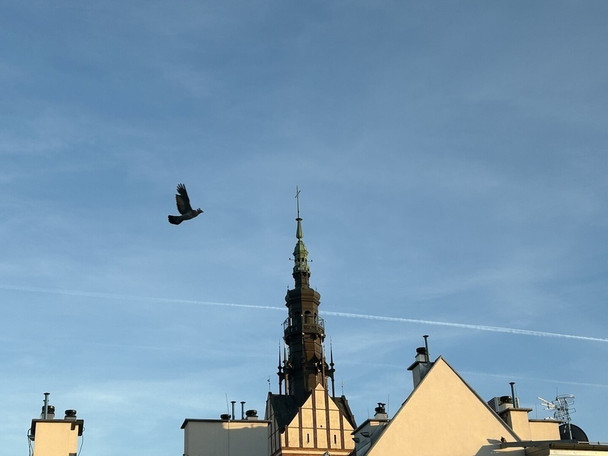 Elbląg, zdjęcie z konkursu Fotka Miesiąca Elbląg, zdjęcie z konkursu Fotka Miesiąca