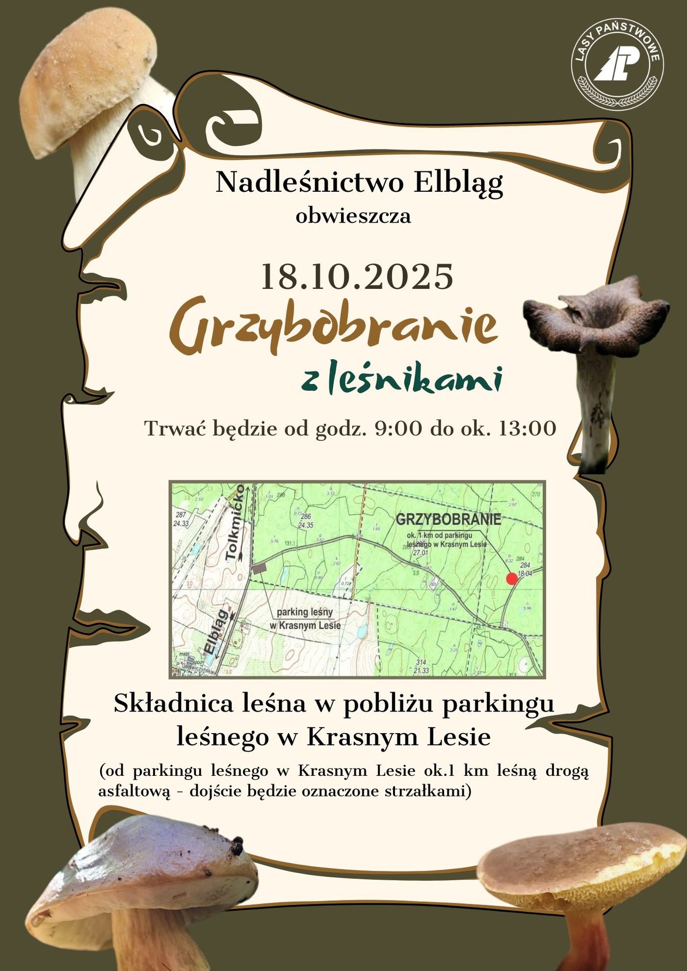 Elbląg, Grzybobranie z leśnikami
