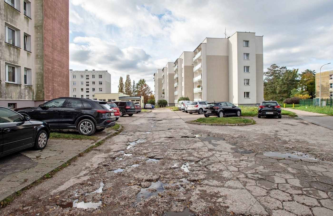 Elbląg, Remont u naczelnika i noblisty Elbląg, Remont u naczelnika i noblisty