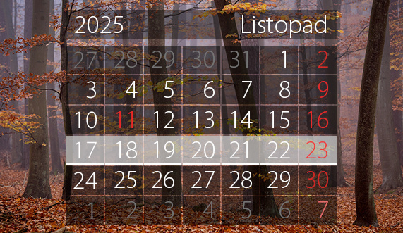 Elbląg, arch. portel.pl