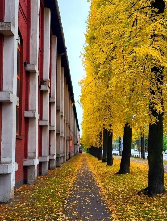 Elbląg, Autor: Fotome Elbląg, Autor: Fotome