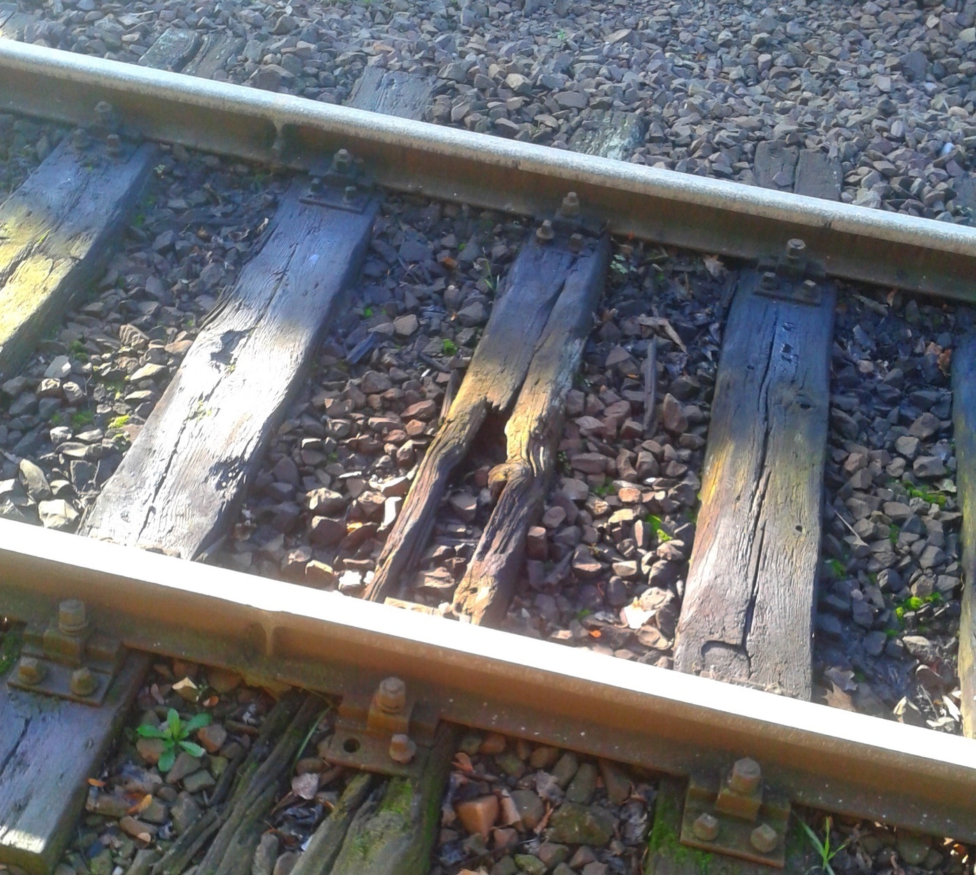 Elbląg, Mieszkaniec: Te tory wymagają renowacji