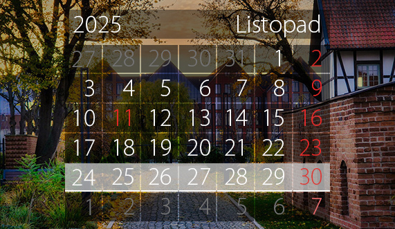 Elbląg, W tym tygodniu portEl poleca: Wielki Test Wiedzy o Elblągu, Echa Sawanny i Bal Andrzejkowy dla dzieci