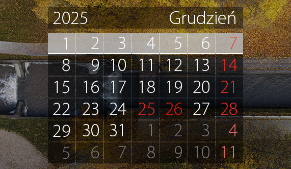 Elbląg, Graf. Andrzej Kraśkiewicz