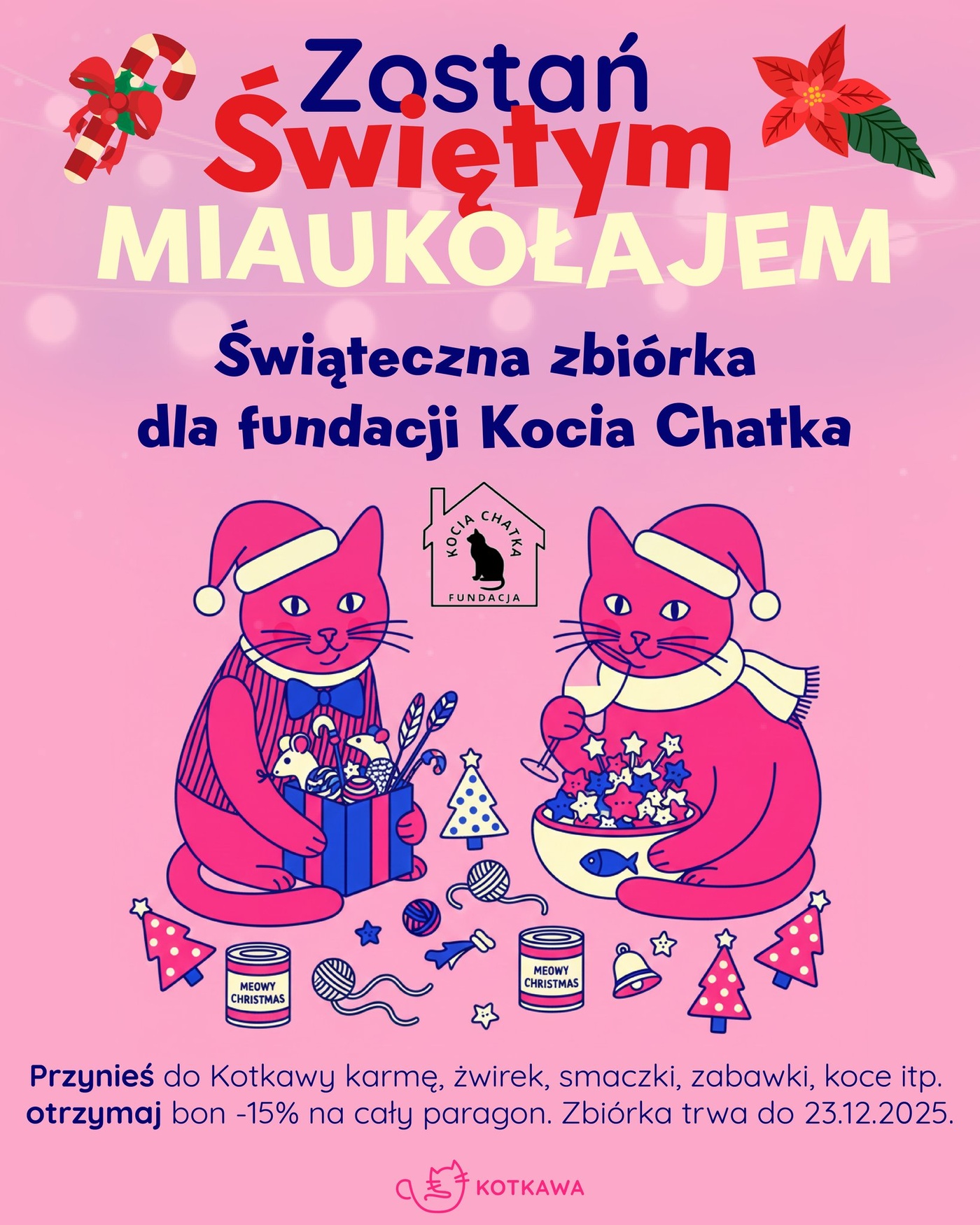 Elbląg, Zostań świętym Miaukołajem! Elbląg, Zostań świętym Miaukołajem!