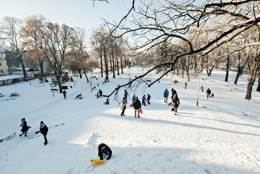 Elbląg, Czas na quiz, o tym i o tamtym Elbląg, Czas na quiz, o tym i o tamtym