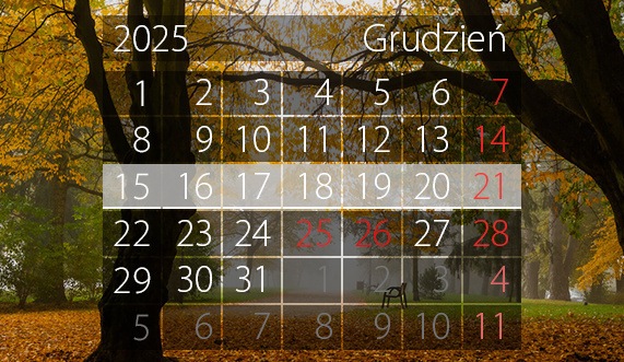 Elbląg, Graf. Andrzej Kraśkiewicz Elbląg, Graf. Andrzej Kraśkiewicz