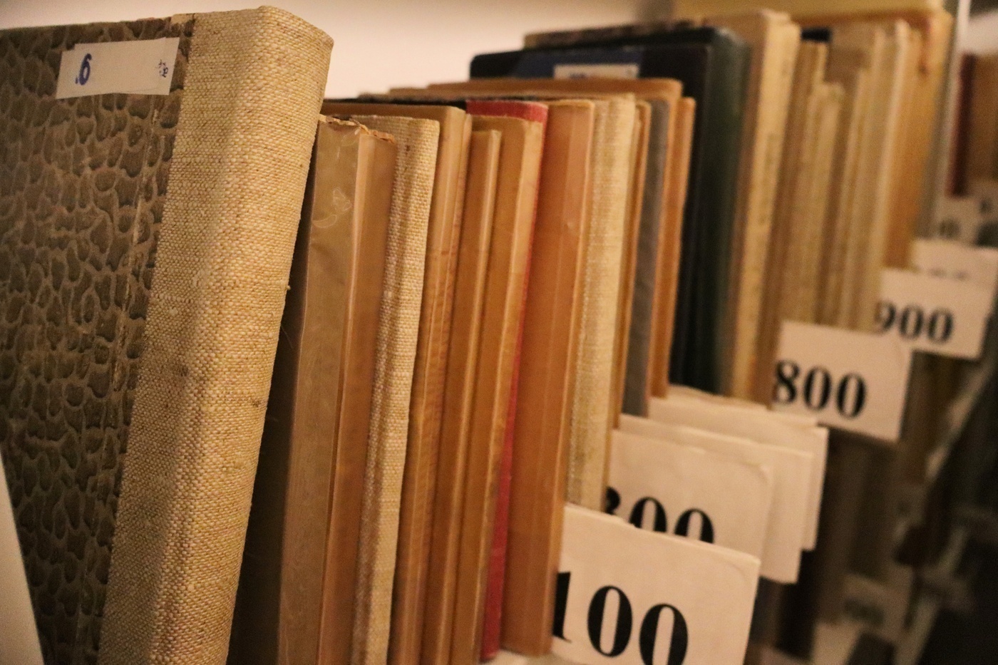 Elbląg, Oni wygrali konkurs z biblioteką pedagogiczną