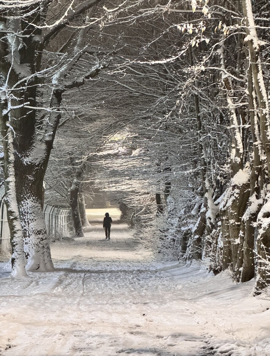 Elbląg, Fotka Grudnia