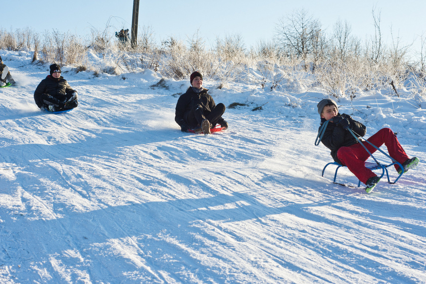 Elbląg, Sprawdź propozycje na ferie w Elblągu
