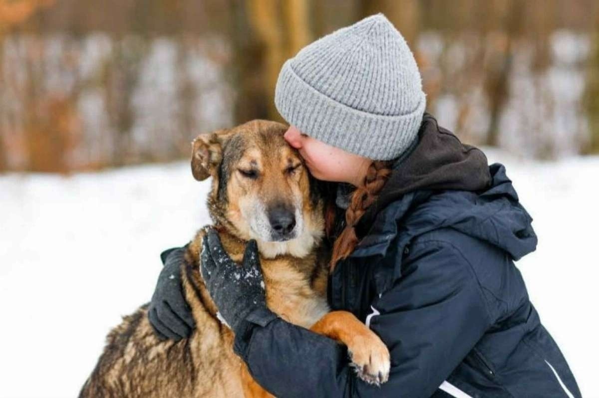 Elbląg, Mroźna zima w schronisku. Apel o pomoc!