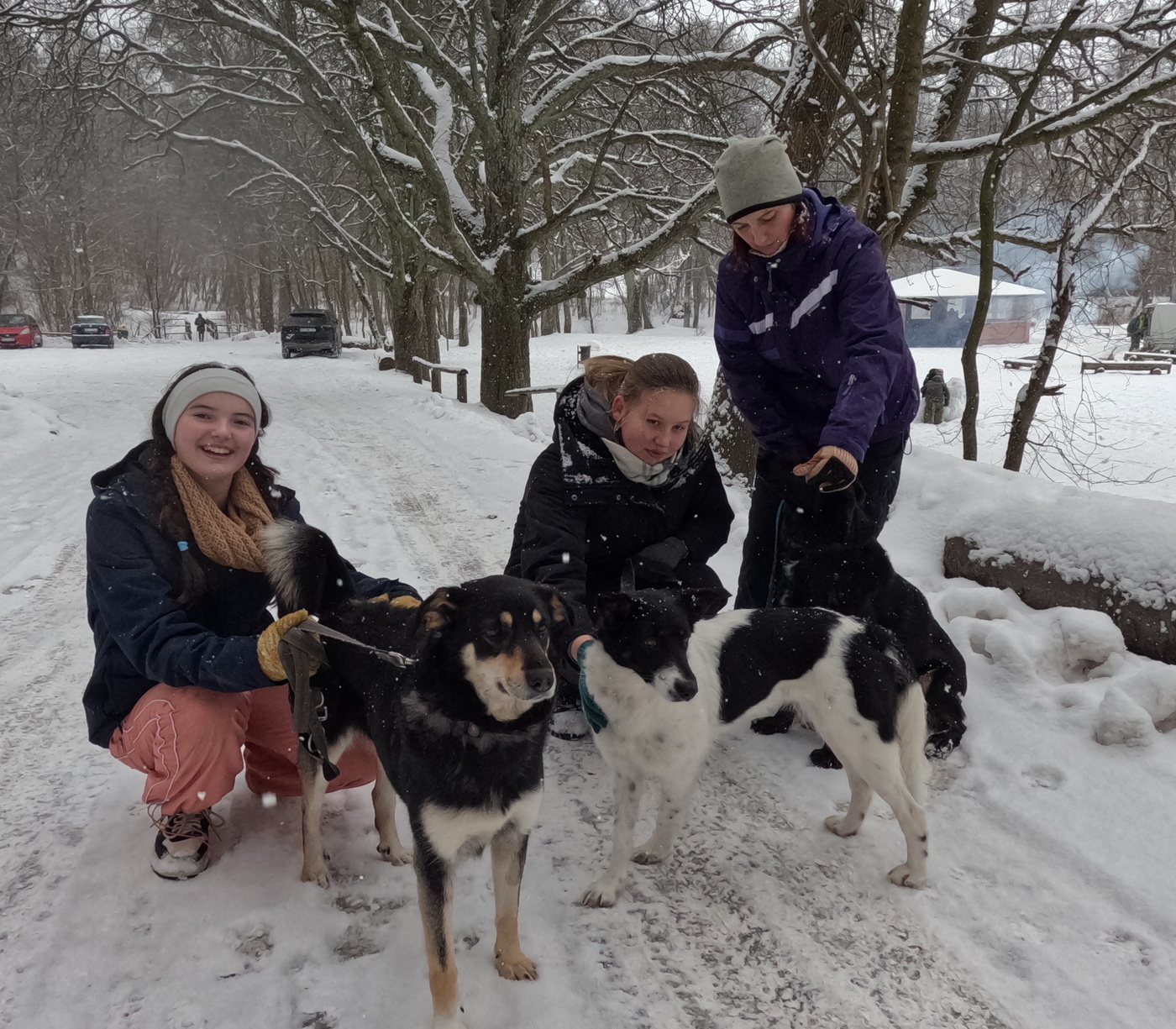 Elbląg, Walentynkowy Bieg na 6 Łap