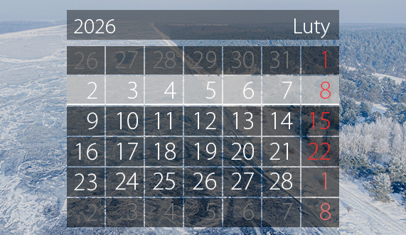 Elbląg, W tym tygodniu portEl poleca: spotkania o Olimpii, Krynicy, podróżach i sporo sportu Elbląg, W tym tygodniu portEl poleca: spotkania o Olimpii, Krynicy, podróżach i sporo sportu