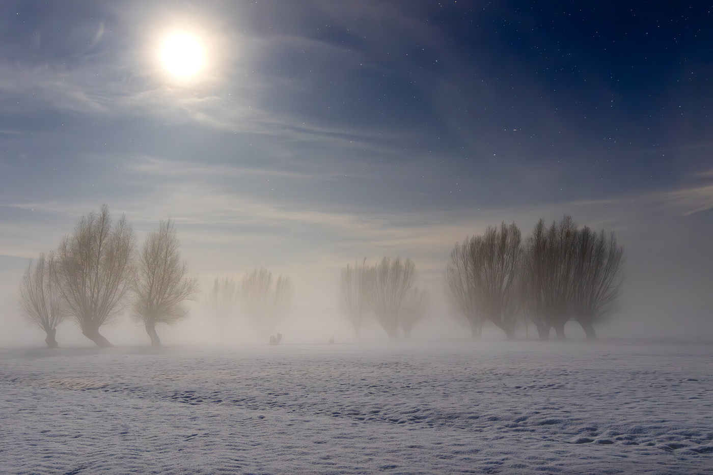 Elbląg, Zdjęcie stanowi jedynie ilustrację tekstu
