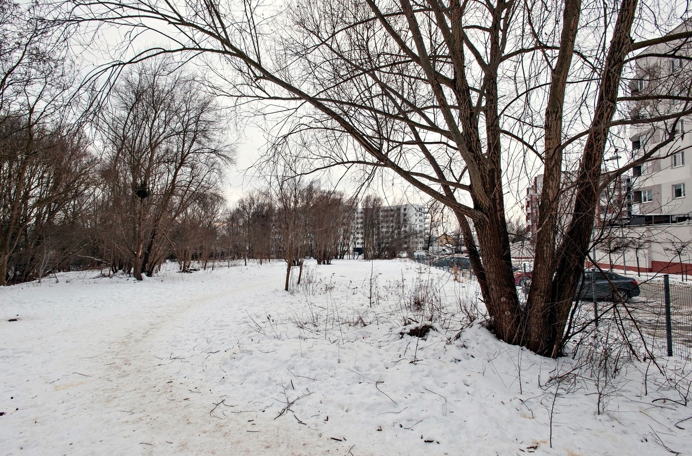 Elbląg, Na tej działce, w sąsiedztwie budynków przy Legionów ma powstać nowe osiedle