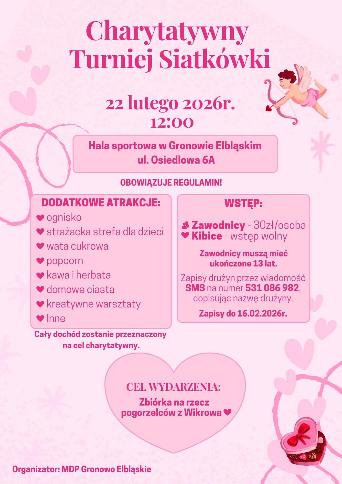 Elbląg, Charytatywny turniej siatkówki