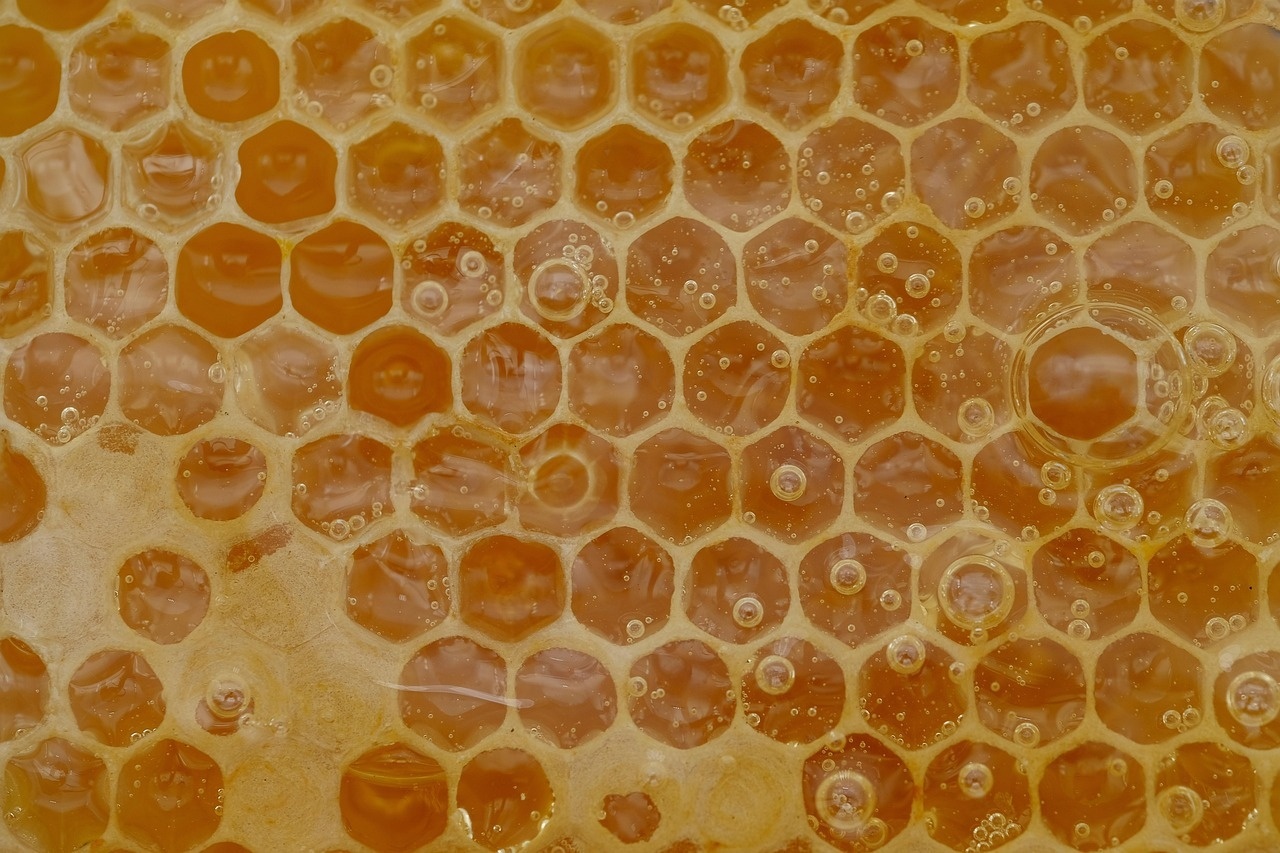 Dlaczego nie każdy miód smakuje tak samo?