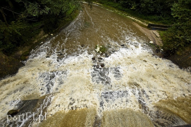 Elbląg, Czas na quiz. Czekając na wiosnę Elbląg, Czas na quiz. Czekając na wiosnę