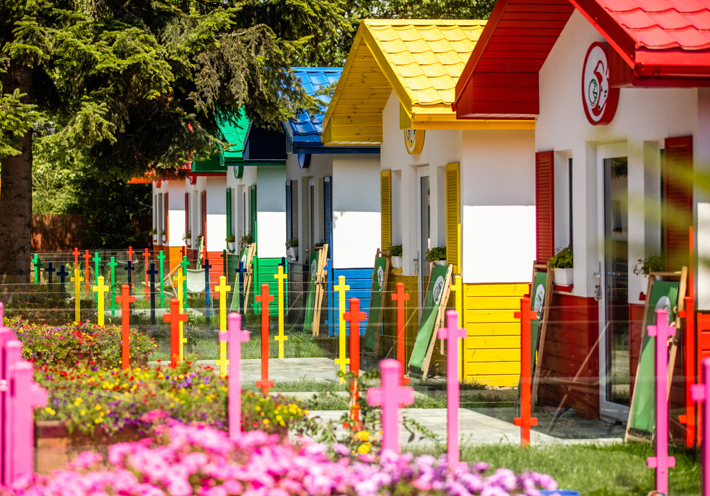 Elbląg, Psia Wioska w Przemyślu