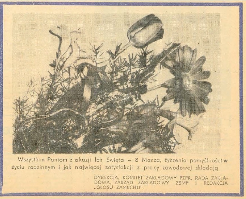 Elbląg, Czar zamechowskiego Dnia Kobiet