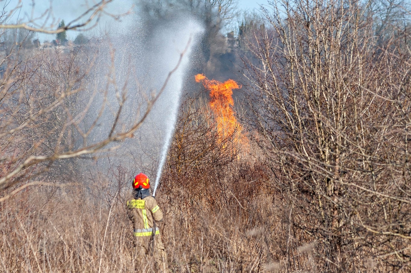 Elbląg, Pożar traw przy Wschodniej