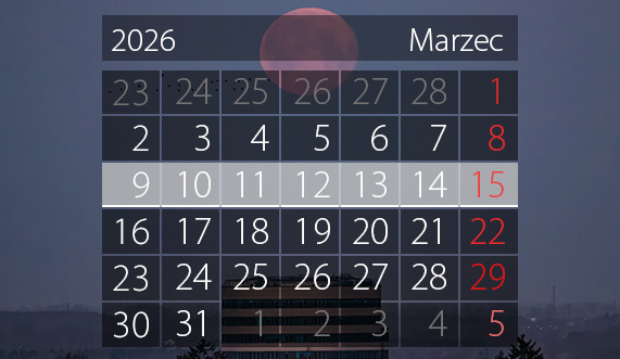 Elbląg, W tym tygodniu portEl poleca: wernisaż, biegi i basen