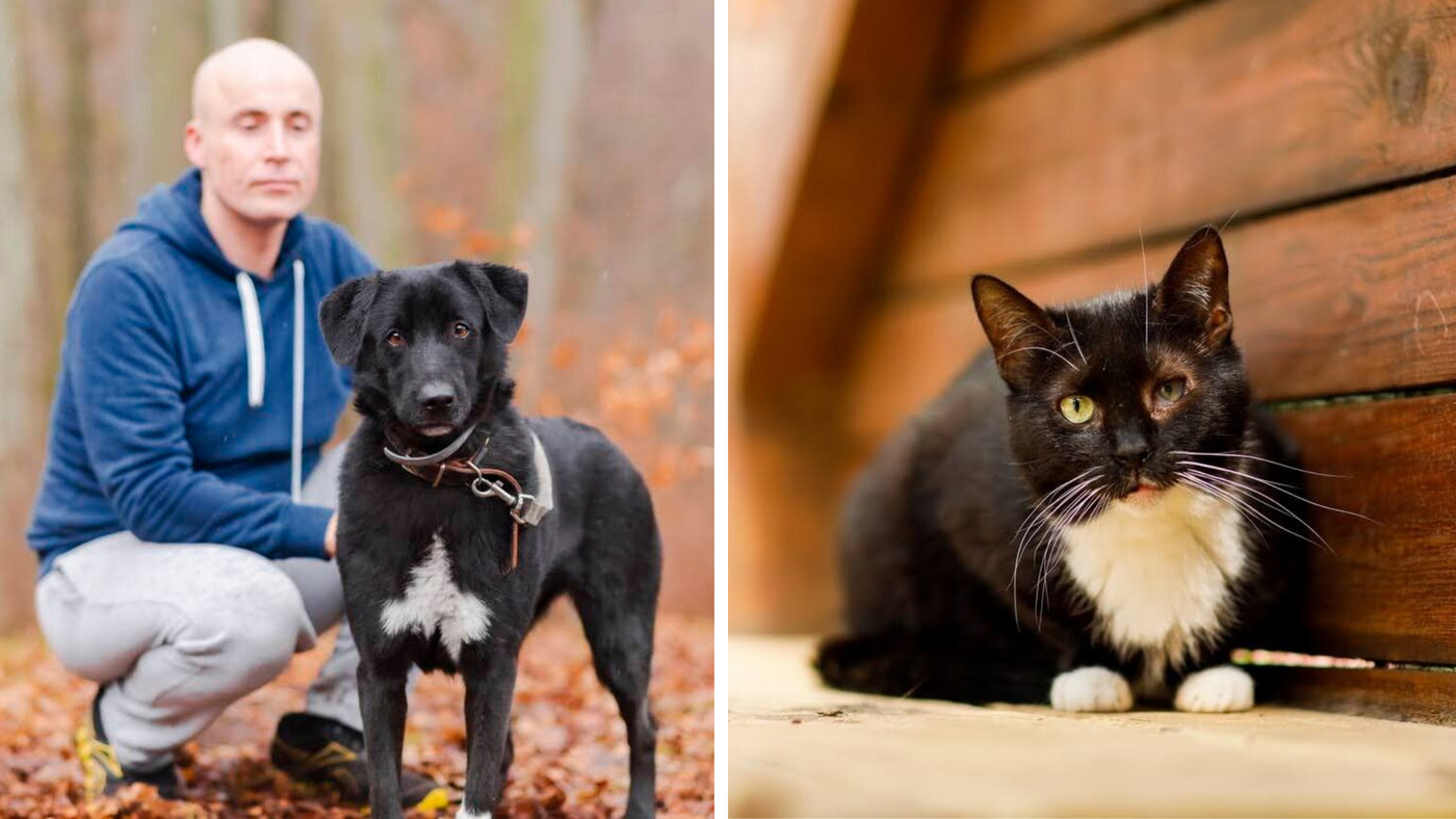 Elbląg, Galeria pod psem i kotem (Odc.408)