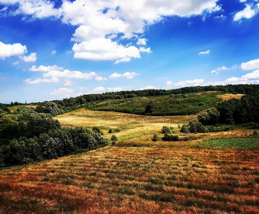 Elbląg, Rezerwat przyrody "Dolina Stradanki", Elbląg, Rezerwat przyrody "Dolina Stradanki",