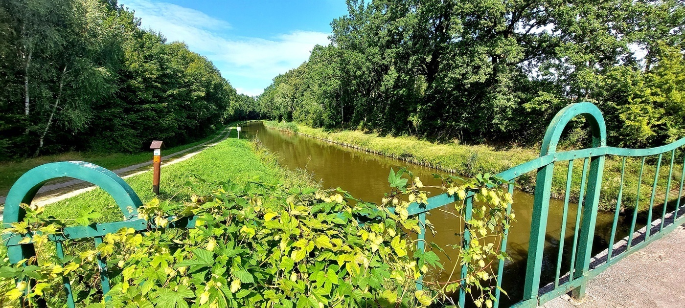 Elbląg, Ścieżka ma biec malowniczymi terenami przy Kanale Elbląskim,