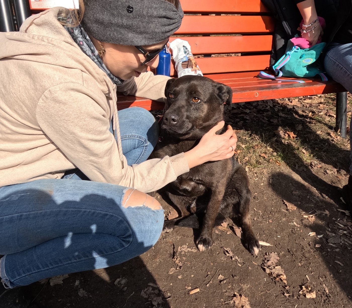Elbląg, Przed nami kwietniowy Bieg na 6 łap