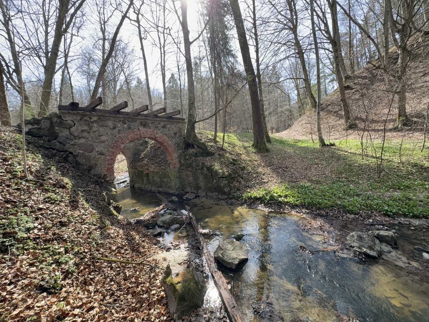 Elbląg, Pozostałości po mostku na rzece Grabiance,