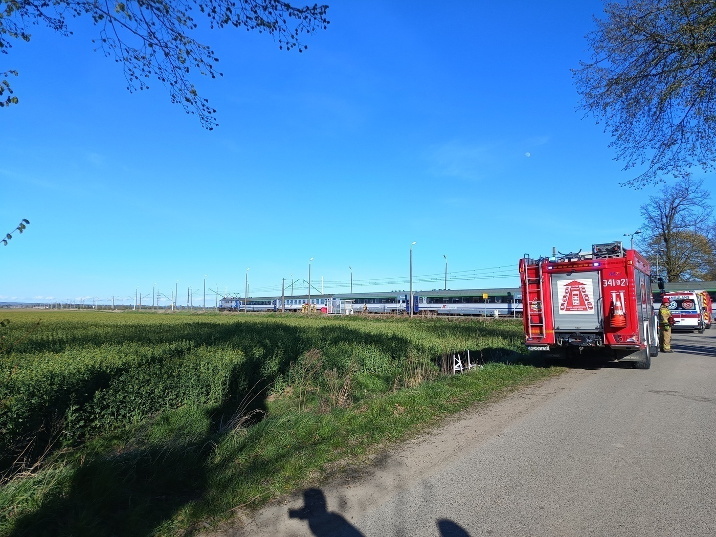 Elbląg, Zdjęcie nadesłane przez Czytelniczkę Elbląg, Zdjęcie nadesłane przez Czytelniczkę