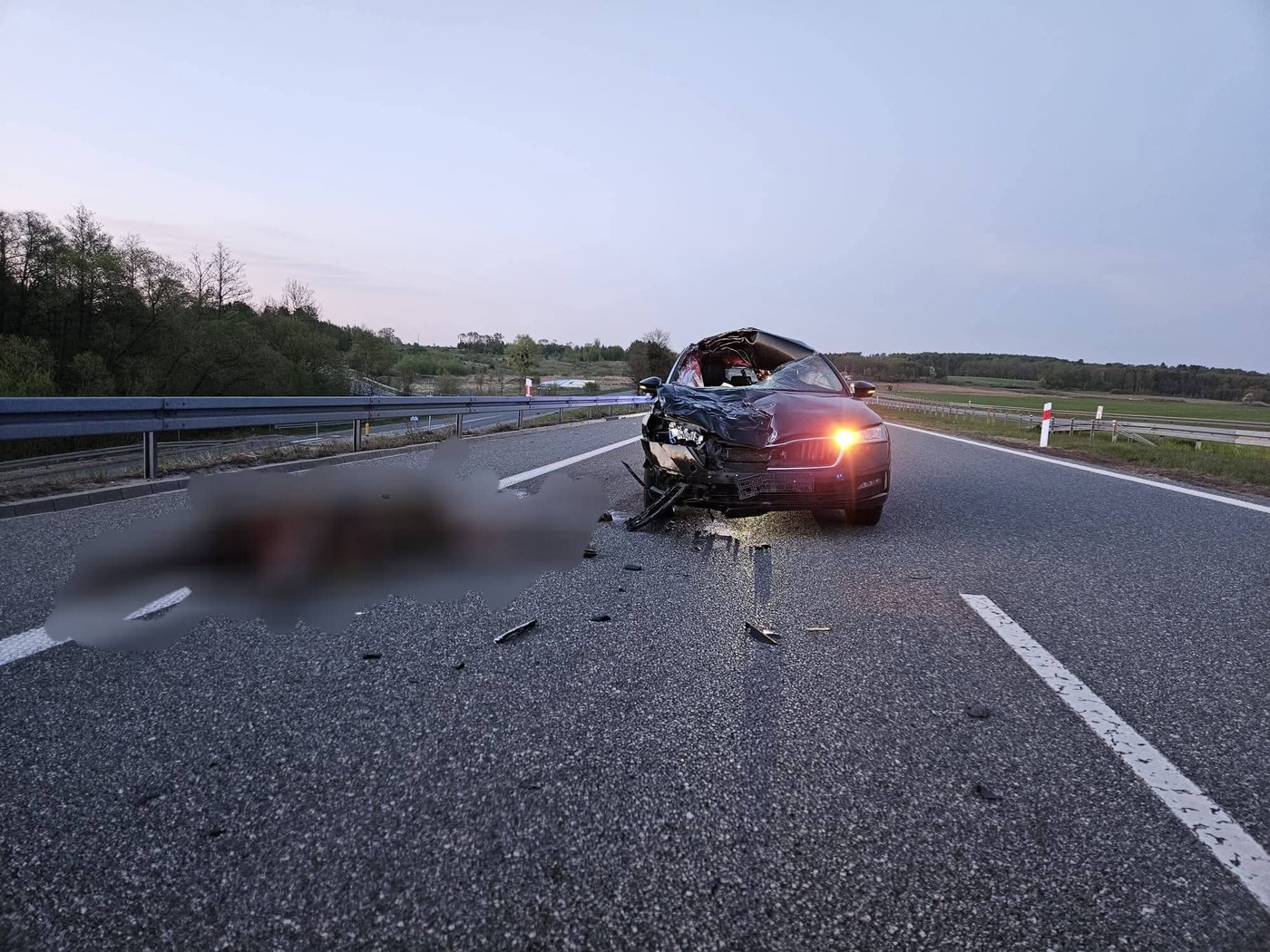 Elbląg, Zderzenie z łosiem na S7