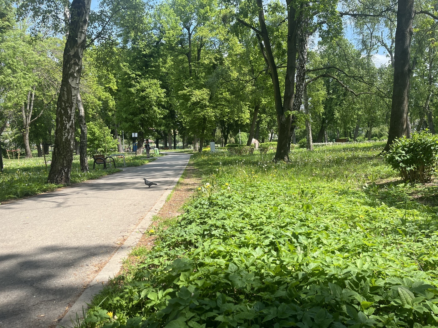 Elbląg, Czas na quiz. Spacerem po parkach Elbląg, Czas na quiz. Spacerem po parkach