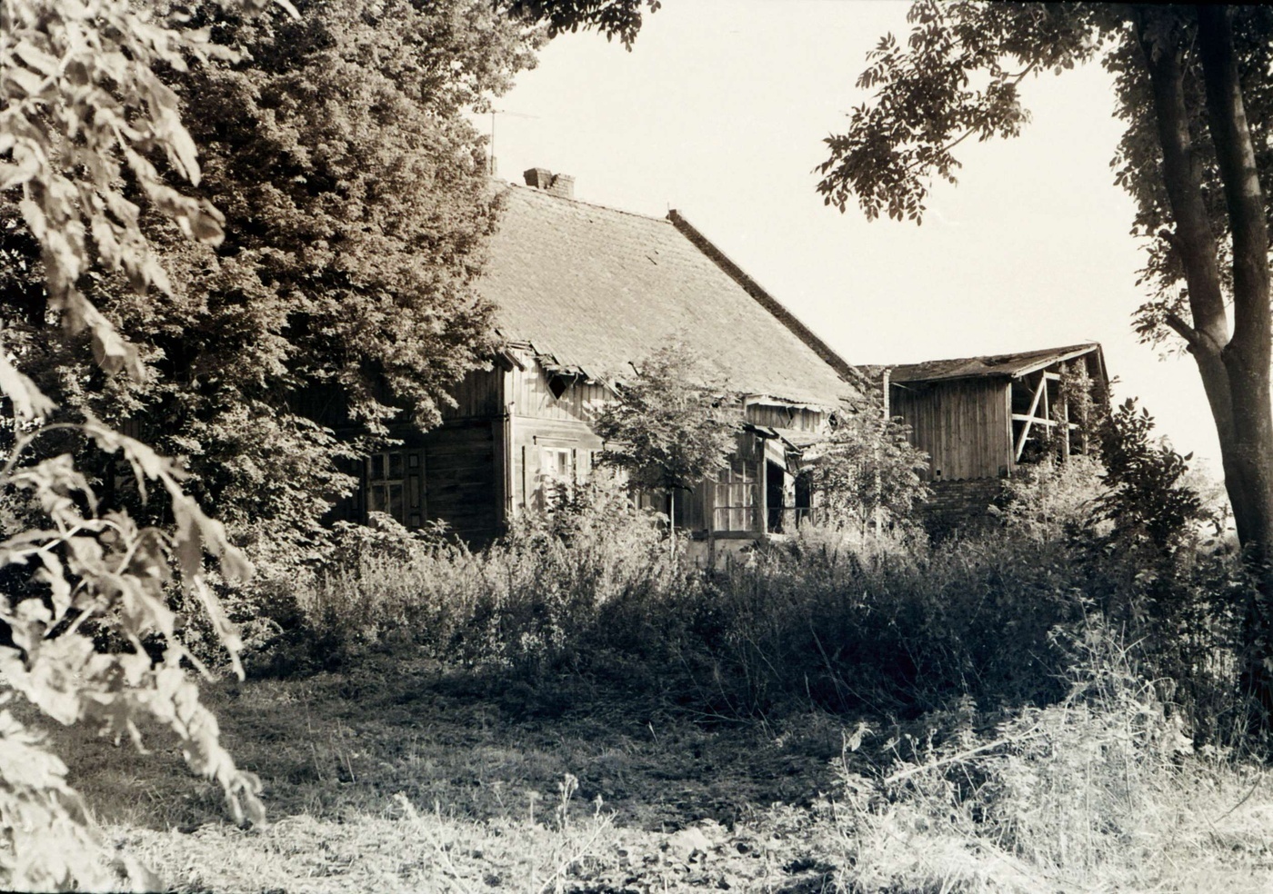 Elbląg, Zabudowanie we wsi Jegłownik. Fotografia ze zbiorów Juliusza Marka Elbląg, Zabudowanie we wsi Jegłownik. Fotografia ze zbiorów Juliusza Marka