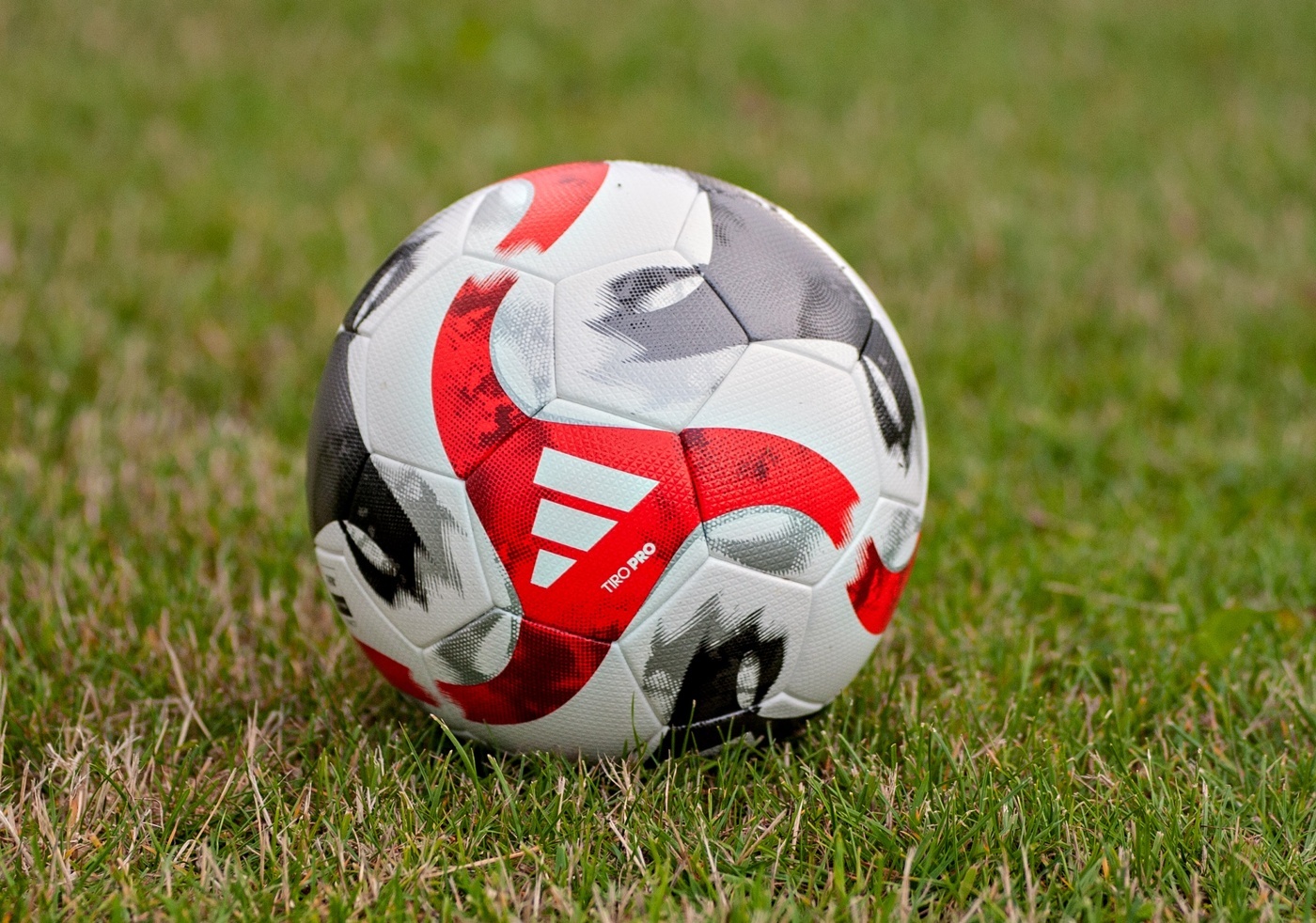 Elbląg, Sportowy weekend z portEl.pl Elbląg, Sportowy weekend z portEl.pl