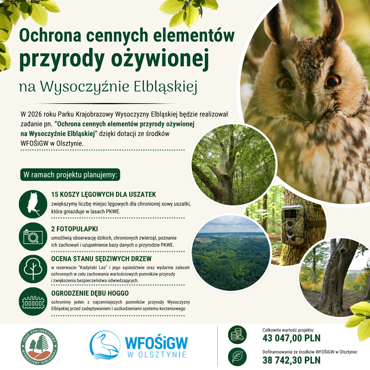 Elbląg, Ochrona cennych elementów przyrody ożywionej na Wysoczyźnie Elbląskiej Elbląg, Ochrona cennych elementów przyrody ożywionej na Wysoczyźnie Elbląskiej