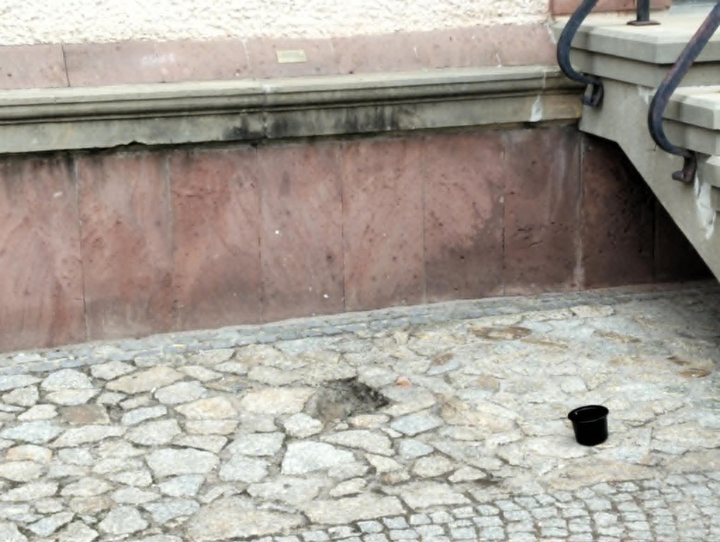 Elbląg, Po Piekarczyku Fotografie została dziura Elbląg, Po Piekarczyku Fotografie została dziura