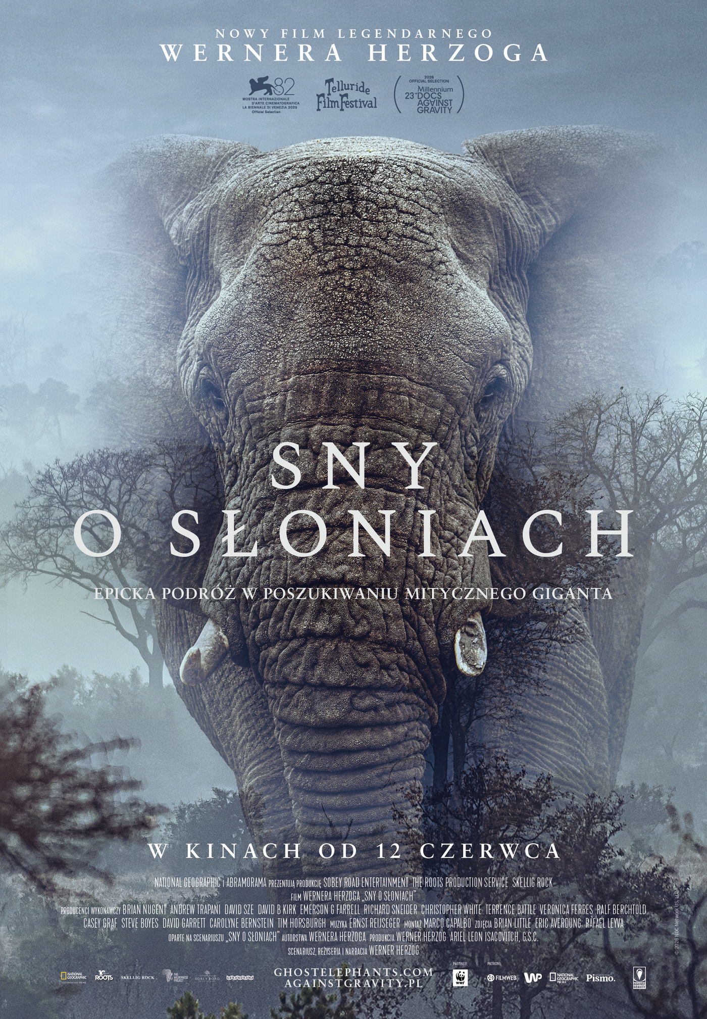 Sny o słoniach w Kinie Światowid Sny o słoniach w Kinie Światowid
