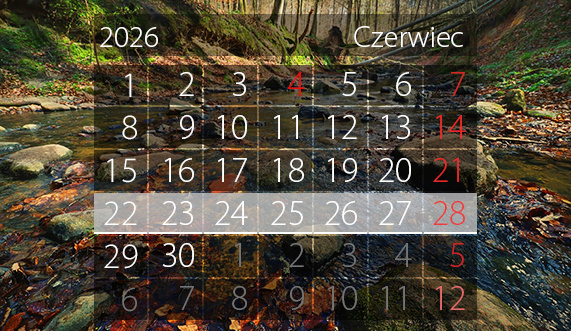 Elbląg, W tym tygodniu portEl poleca: Dni Elbląga i Truso Fest Elbląg, W tym tygodniu portEl poleca: Dni Elbląga i Truso Fest