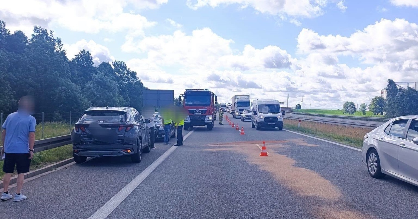 Elbląg, Trzy samochody zderzyły się na S7. Do kolizji przyczynił się łabędź Elbląg, Trzy samochody zderzyły się na S7. Do kolizji przyczynił się łabędź
