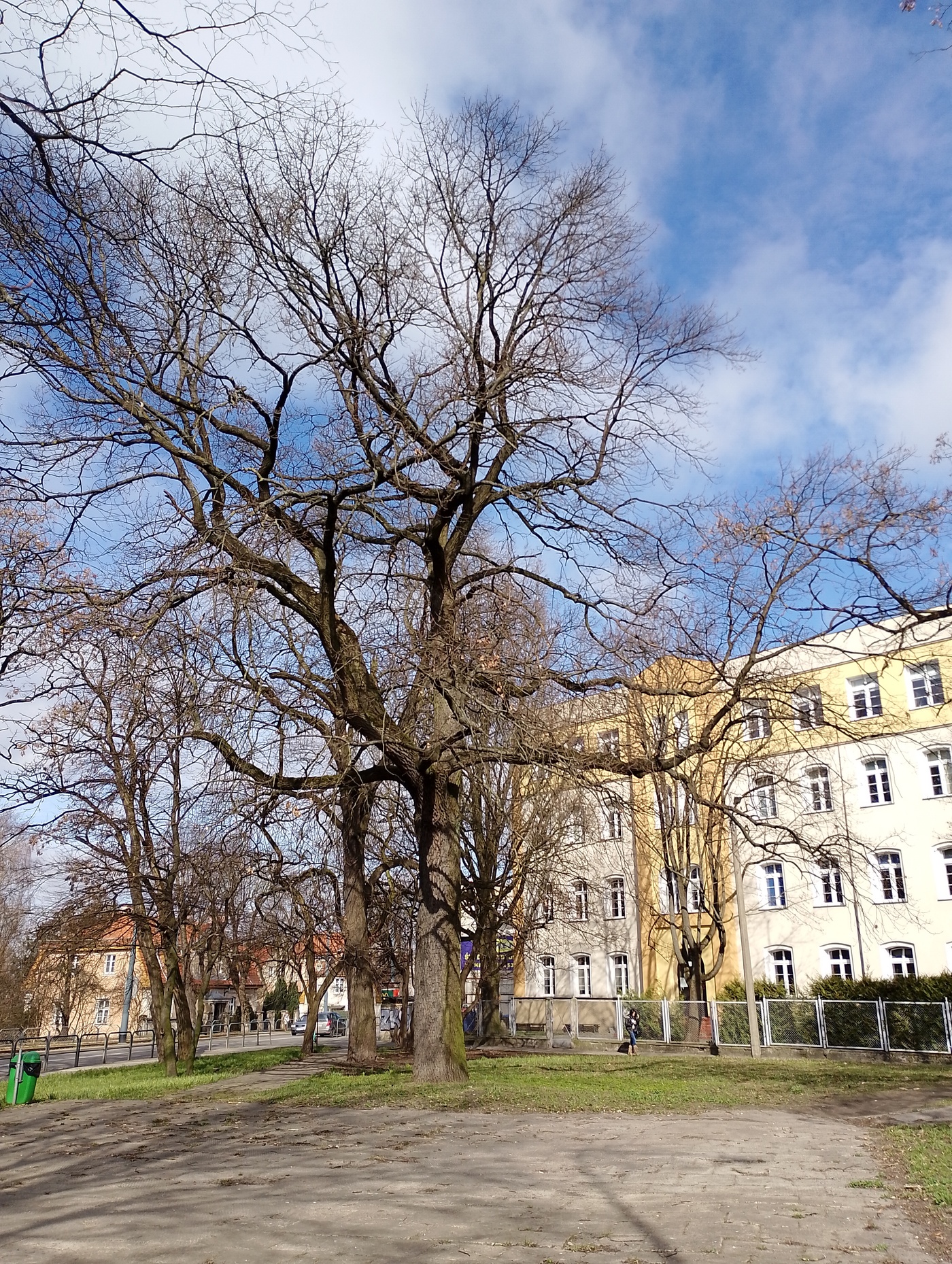 Elbląg, U zbiegu ulic Browarnej i Robotniczej powstanie park kieszonkowy
